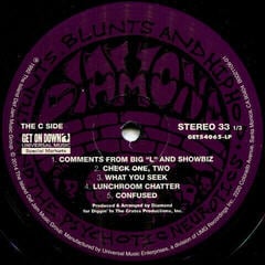 Disque vinyle Diamond D - Stunts, Blunts and Hip Hop (2 LP) - 3