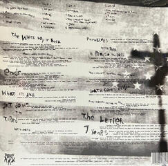 Vinüülplaat Everlast - Whitey Ford Sings the Blues (RSD) (2 LP) - 2