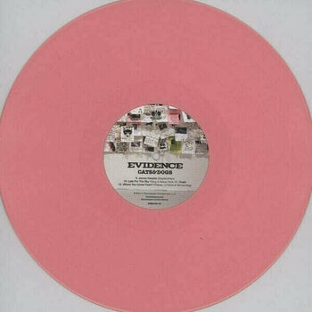 Vinyl Record Evidence - Cats & Dogs (Yellow & Pink Coloured) (2 LP) - 5