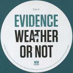 Disco de vinil Evidence - Weather or Not (Blue Coloured) (2 LP) - 1