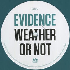 Disco de vinil Evidence - Weather or Not (Blue Coloured) (2 LP) - 3