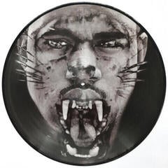 Disco de vinil Jay-Z & Kanye West - Watch the Throne (Picture Disc) (2 LP) - 2