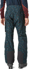 Pantalone da sci Helly Hansen ULLR D Midnight Granite - 3