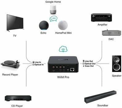 Hi-Fi Αναπαραγωγή Δικτύου Wiim Streamer PRO - 4