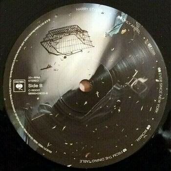 Disque vinyle Harry Styles Harry Styles (LP) - 3