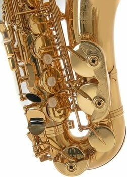Alto saxophone Roy Benson AS-202 Alto saxophone (Just unboxed) - 3