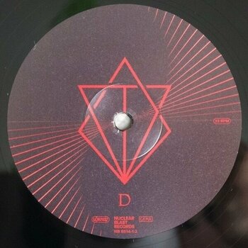 Vinylplade In Flames - Foregone (2 LP) - 5
