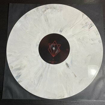 Schallplatte In Flames - Foregone (Limited Edition) (White/Black Marbled Coloured) (2 LP) - 2