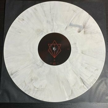 Vinylplade In Flames - Foregone (Limited Edition) (White/Black Marbled Coloured) (2 LP) - 3