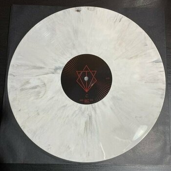 Vinylskiva In Flames - Foregone (Limited Edition) (White/Black Marbled Coloured) (2 LP) - 4