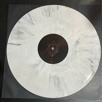 Vinylplade In Flames - Foregone (Limited Edition) (White/Black Marbled Coloured) (2 LP) - 5