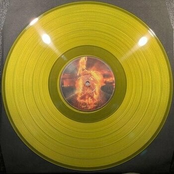 LP deska Hammerfall - Renegade 2.0 (Yellow Coloured) (LP) - 2