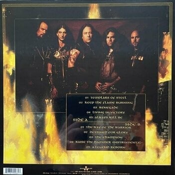 LP platňa Hammerfall - Renegade 2.0 (Yellow Coloured) (LP) - 6