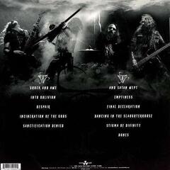 Vinylplade Vader - Solitude In Madness (LP) - 1