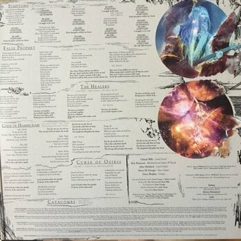 Disque vinyle Testament - Titans Of Creation (Picture Disc) (2 LP) - 7