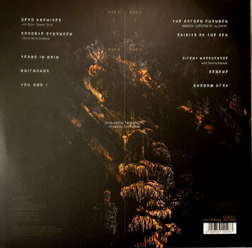 Vinyl Record Tarja - In The Raw (2 LP) - 6