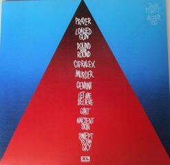 Грамофонна плоча Jack Peñate - After You (LP) - 4