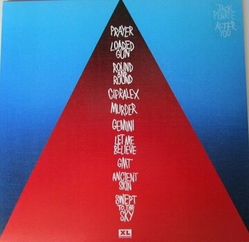 Vinyl Record Jack Peñate - After You (LP) - 5