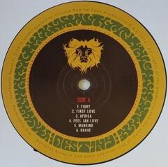 Schallplatte Raging Fyah - Destiny (LP) - 1