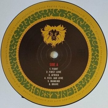 Vinyl Record Raging Fyah - Destiny (LP) - 2