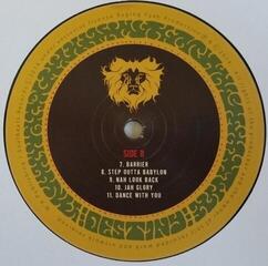 Schallplatte Raging Fyah - Destiny (LP) - 2
