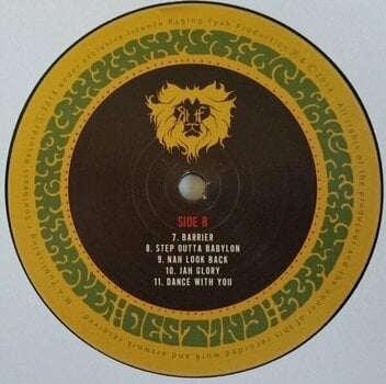 Vinyl Record Raging Fyah - Destiny (LP) - 3
