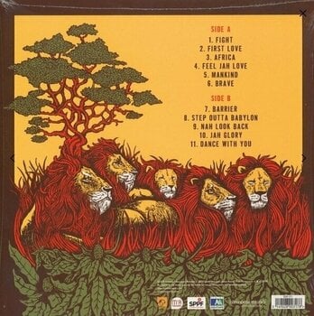 Vinylplade Raging Fyah - Destiny (LP) - 4