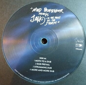 Vinyl Record Mad Professor - In The Midst Of The Storm (LP) - 2
