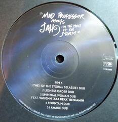 Vinylplade Mad Professor - In The Midst Of The Storm (LP) - 2