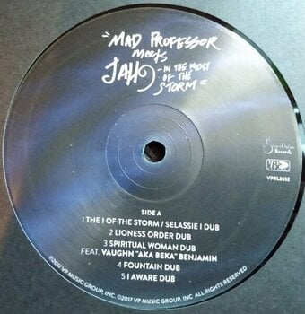 Δίσκος LP Mad Professor - In The Midst Of The Storm (LP) - 3