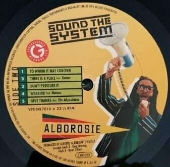 Vinyl Record Alborosie - Sound The System (LP) - 3