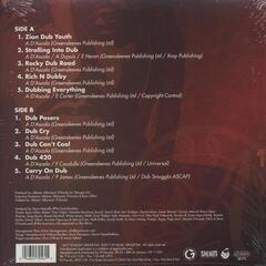 LP platňa Alborosie - Freedom In Dub (LP) - 3