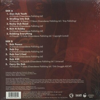 Płyta winylowa Alborosie - Freedom In Dub (LP) - 4