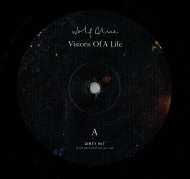 Δίσκος LP Wolf Alice - Visions Of A Life (2 LP) - 2