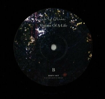Disque vinyle Wolf Alice - Visions Of A Life (2 LP) - 3