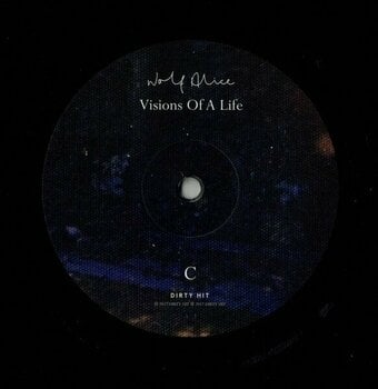 Disque vinyle Wolf Alice - Visions Of A Life (2 LP) - 4