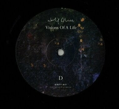 Vinyylilevy Wolf Alice - Visions Of A Life (2 LP) - 5