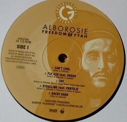 LP platňa Alborosie - Freedom & Fyah (LP) - 1