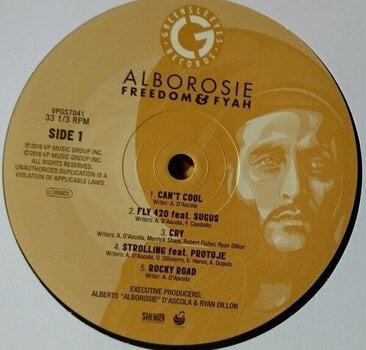 Vinyl Record Alborosie - Freedom & Fyah (LP) - 2