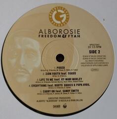 LP platňa Alborosie - Freedom & Fyah (LP) - 2