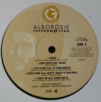 Vinyl Record Alborosie - Freedom & Fyah (LP) - 3