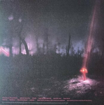 Vinyl Record Enter Shikari - A Kiss For The Whole World (Sunset Coloured) (LP) - 3