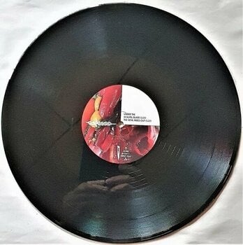 Vinyl Record Carcass - Torn Arteries (2 LP) - 2