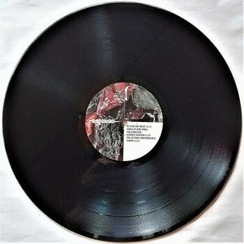 Vinyl Record Carcass - Torn Arteries (2 LP) - 3