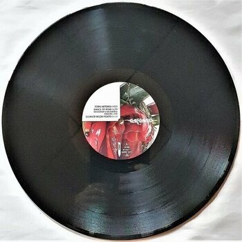 Disque vinyle Carcass - Torn Arteries (2 LP) - 4