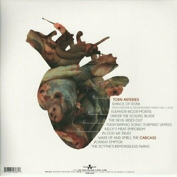 Vinyylilevy Carcass - Torn Arteries (2 LP) - 7