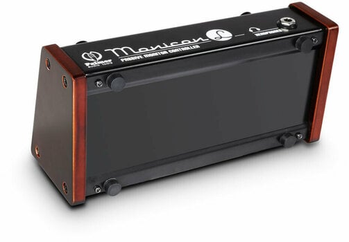 Monitor selector/kontroler głośności Palmer Monicon L - 5