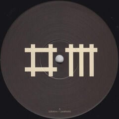 Δίσκος LP Depeche Mode - Sounds Of The Universe / The 12" Singles (180g) (Limited Edition) (Box Set) (7 LP) - 3