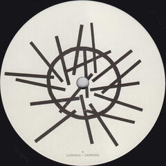 Δίσκος LP Depeche Mode - Sounds Of The Universe / The 12" Singles (180g) (Limited Edition) (Box Set) (7 LP) - 4