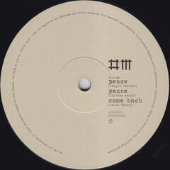 Δίσκος LP Depeche Mode - Sounds Of The Universe / The 12" Singles (180g) (Limited Edition) (Box Set) (7 LP) - 6